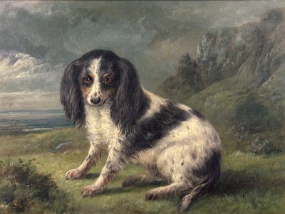 Ein King Charles Spaniel von William Ellis